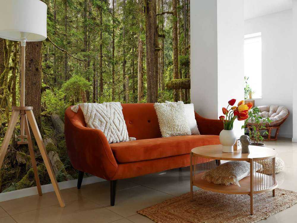 Forêt sauvage