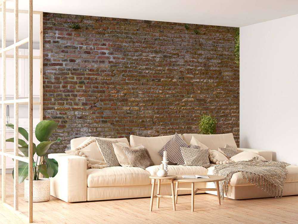 Ancien mur d'enceinte de la ville en pierre avec des plantes