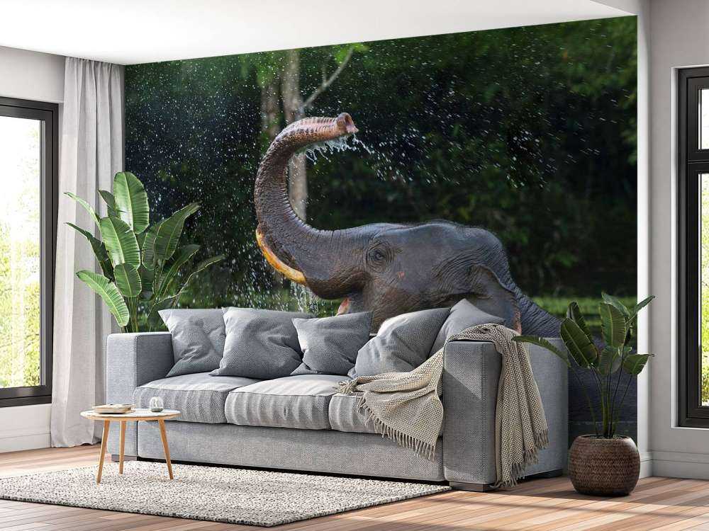 L'éléphant dans l'eau