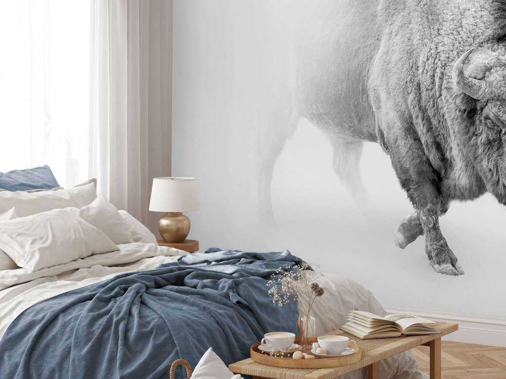 Bison noir et blanc